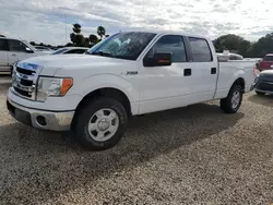 Carros salvage para piezas a la venta en subasta: 2013 Ford F150 Supercrew