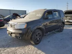 Honda salvage cars for sale: 2013 Honda Pilot EXL