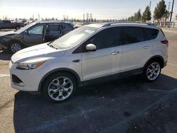 Salvage cars for sale at Rancho Cucamonga, CA auction: 2015 Ford Escape Titanium