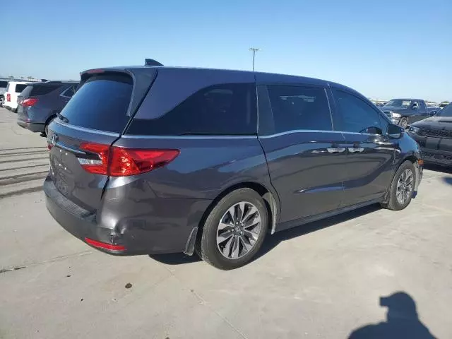 2024 Honda Odyssey EXL