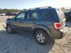 2008 Ford Escape HEV