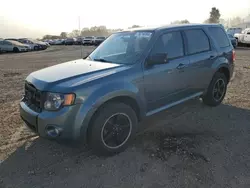 Vehiculos salvage en venta de Copart Davison, MI: 2011 Ford Escape XLT