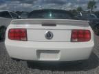 2007 Ford Mustang Shelby GT500