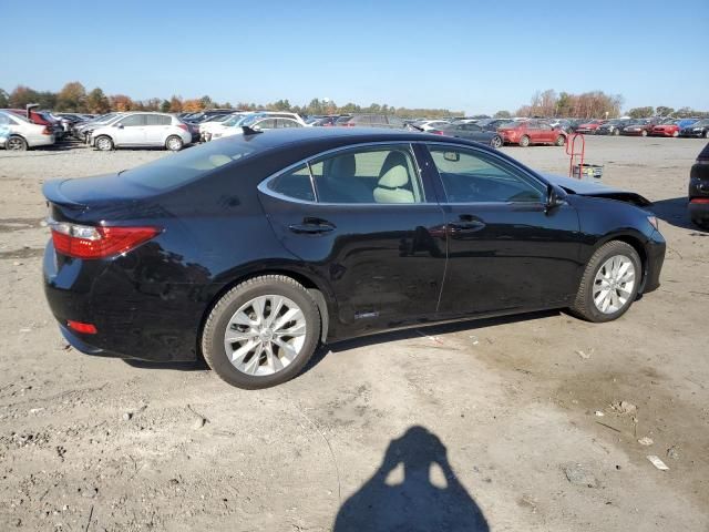 2013 Lexus ES 300H