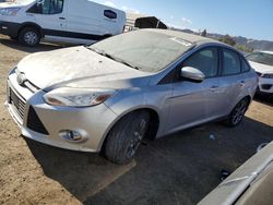 Salvage cars for sale at San Martin, CA auction: 2014 Ford Focus SE