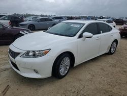 Salvage cars for sale at Arcadia, FL auction: 2014 Lexus ES 350