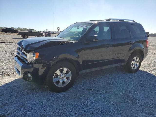 2012 Ford Escape Limited