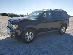 Carros salvage a la venta en subasta: 2012 Ford Escape Limited