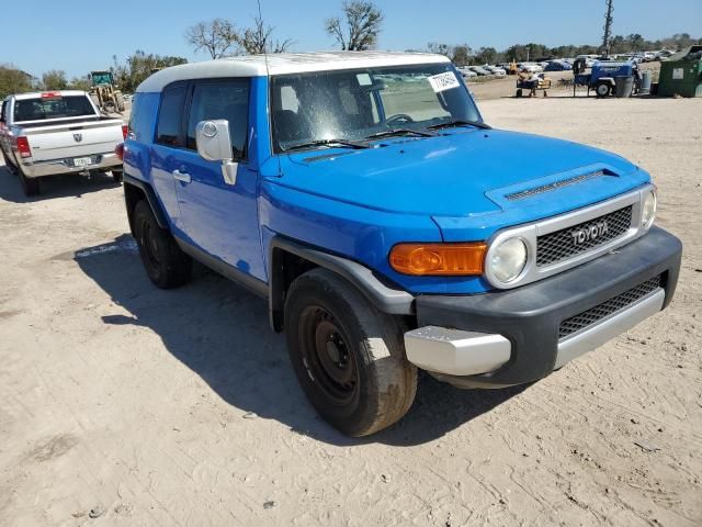 2007 Toyota FJ Cruiser