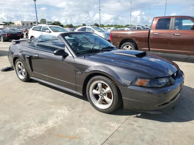 2002 Ford Mustang GT