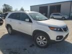 2011 KIA Sorento Base