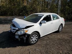 Toyota salvage cars for sale: 2011 Toyota Corolla Base