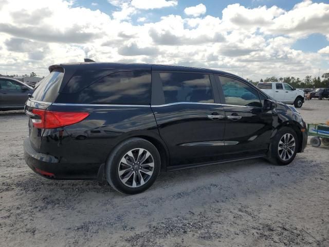 2023 Honda Odyssey EXL