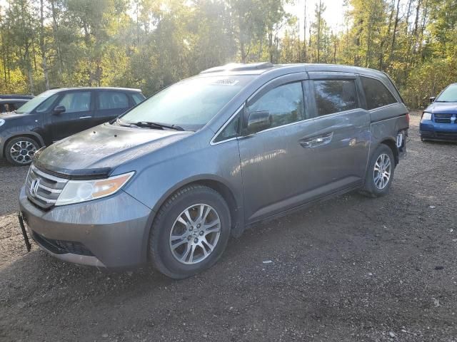 2012 Honda Odyssey EXL