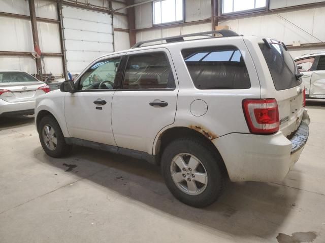 2010 Ford Escape XLT