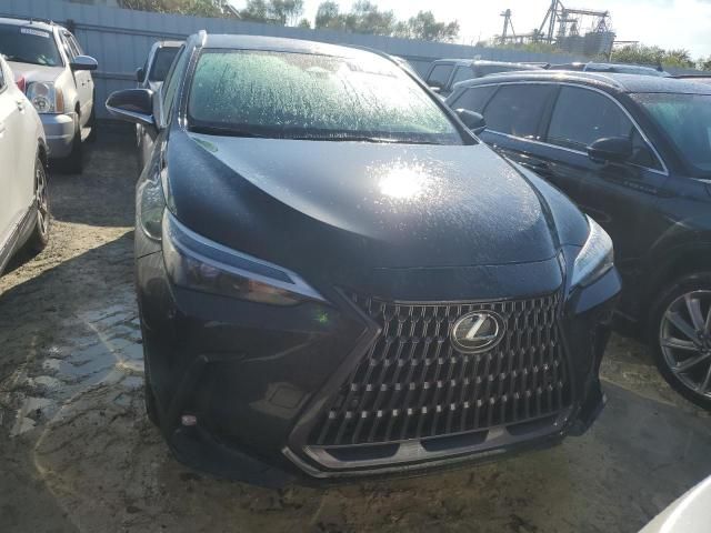 2023 Lexus NX 350