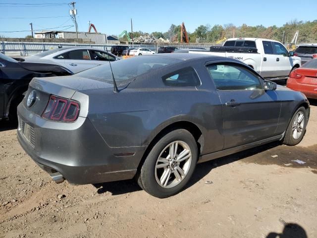 2014 Ford Mustang