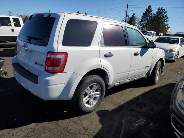 2010 Ford Escape Hybrid