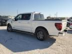 2024 Ford F150 Platinum