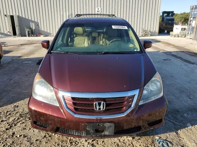 2008 Honda Odyssey EXL