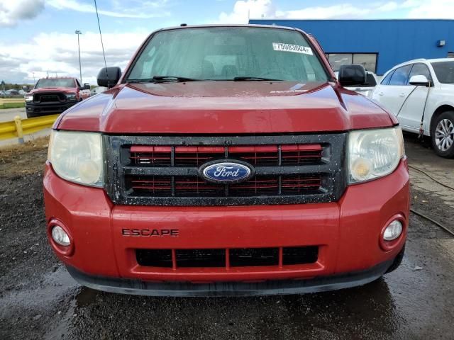 2010 Ford Escape XLT