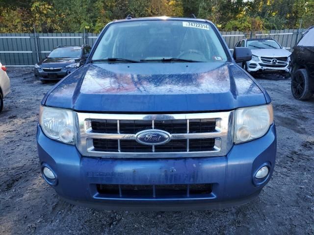 2010 Ford Escape XLT