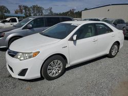 Toyota Camry Hybrid salvage cars for sale: 2013 Toyota Camry Hybrid