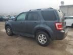 2009 Ford Escape Limited