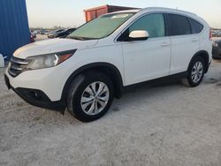 Salvage cars for sale at Arcadia, FL auction: 2013 Honda CR-V EXL