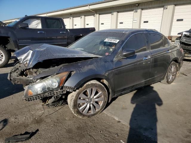 2011 Honda Accord EXL