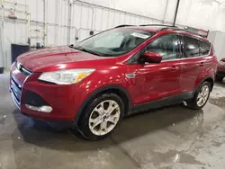 Ford salvage cars for sale: 2013 Ford Escape SE