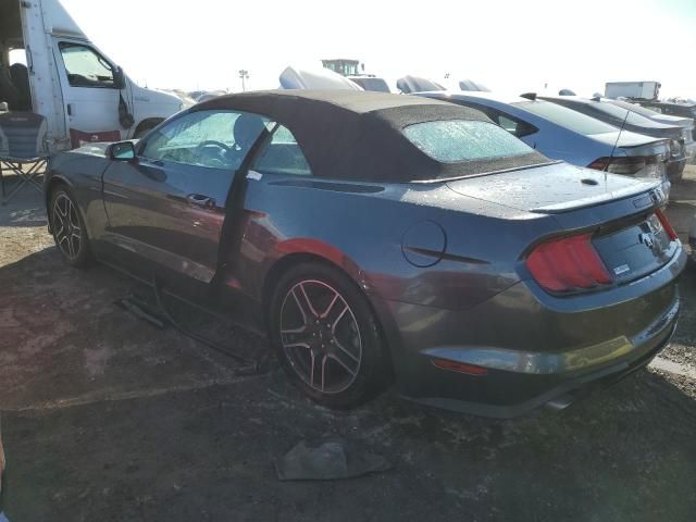 2019 Ford Mustang