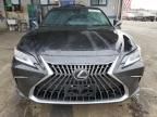 2024 Lexus ES 300H Base