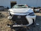 2024 Lexus NX 450H Luxury