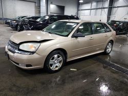 Salvage cars for sale at Ham Lake, MN auction: 2004 Chevrolet Malibu Maxx LT