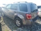 2008 Ford Escape XLT