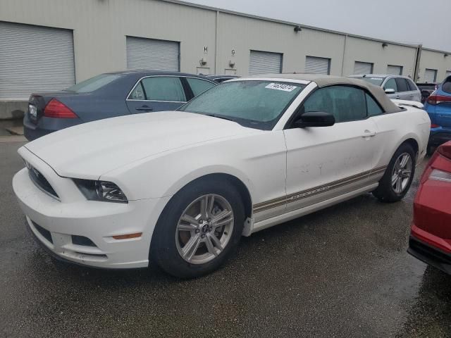 2013 Ford Mustang