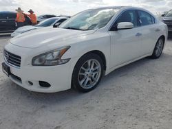 Carros dañados por inundaciones a la venta en subasta: 2010 Nissan Maxima S