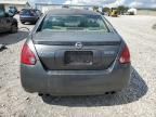 2006 Nissan Maxima SE