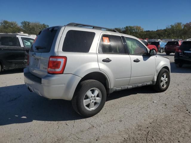 2009 Ford Escape XLT