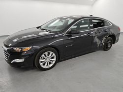 Salvage cars for sale at Van Nuys, CA auction: 2023 Chevrolet Malibu LT