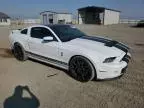 2014 Ford Mustang Shelby GT500