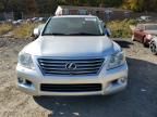 2011 Lexus LX 570