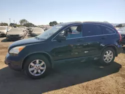 Salvage cars for sale at San Martin, CA auction: 2008 Honda CR-V EXL