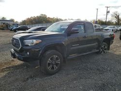 Toyota Tacoma salvage cars for sale: 2019 Toyota Tacoma Access Cab