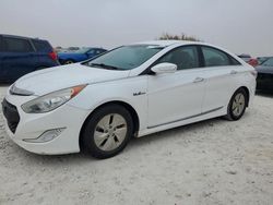 Salvage cars for sale at Taylor, TX auction: 2015 Hyundai Sonata Hybrid