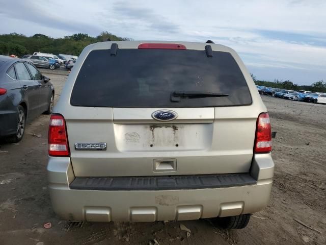 2010 Ford Escape XLT