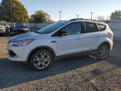 Ford Escape sel salvage cars for sale: 2013 Ford Escape SEL