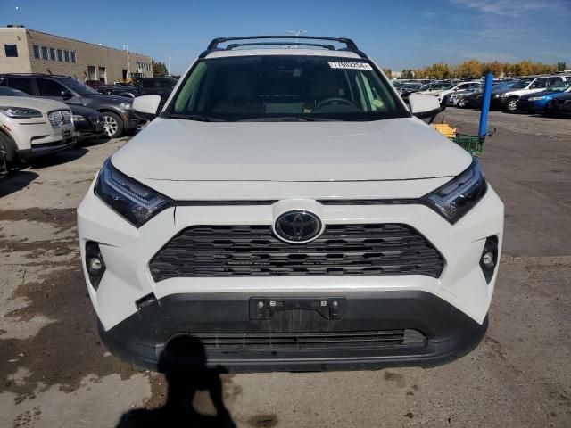 2023 Toyota Rav4 XLE Premium