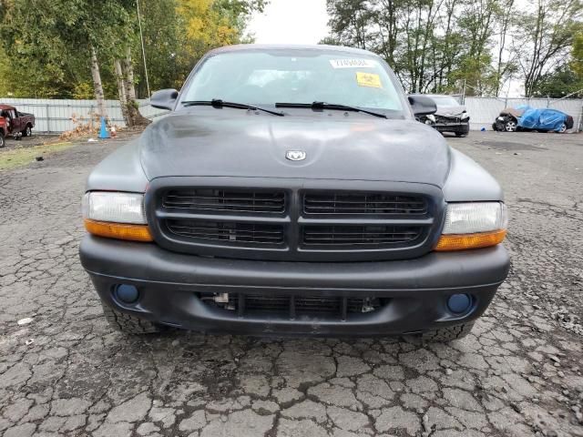 2003 Dodge Dakota Quad Sport